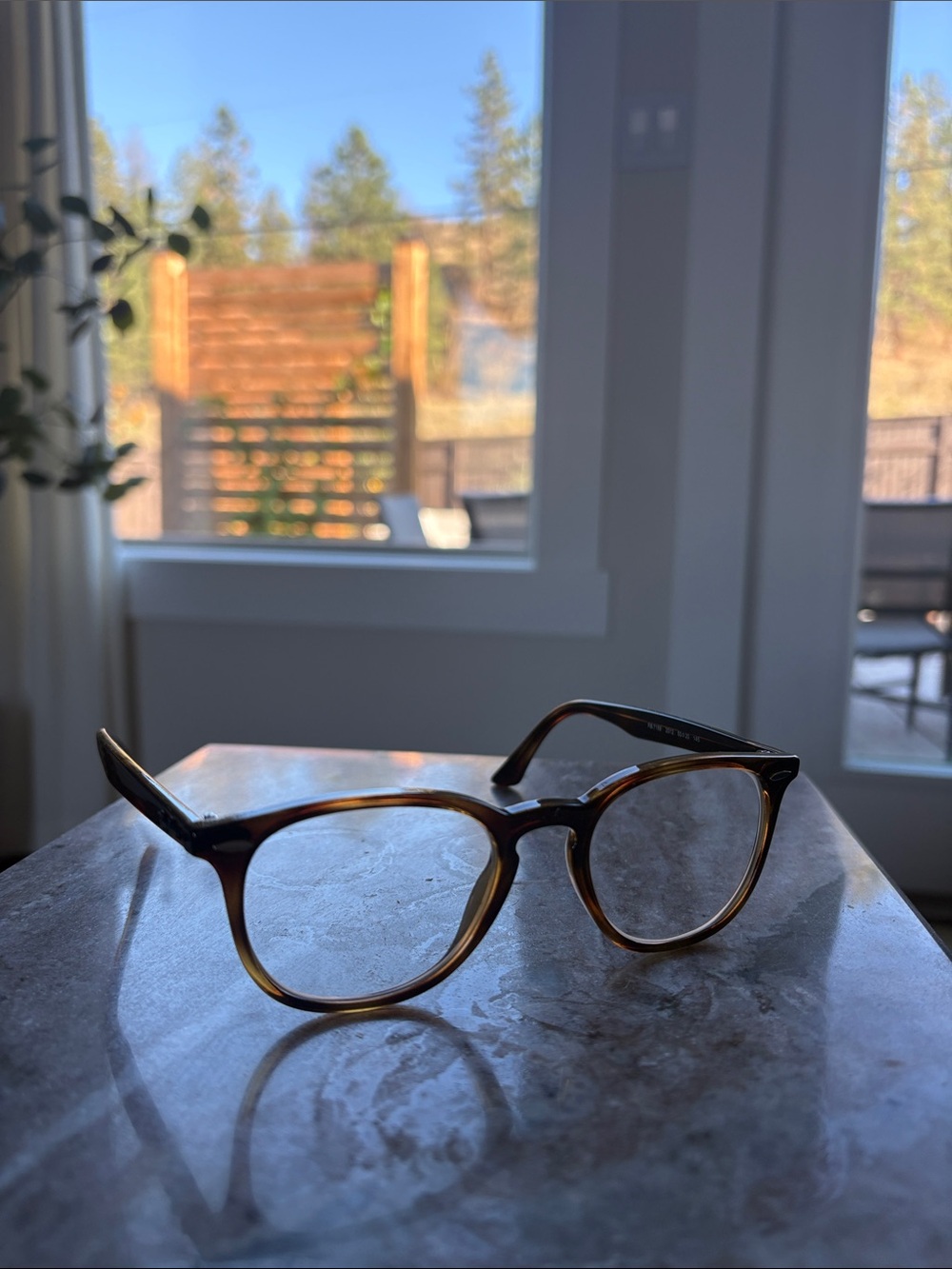 Ray-Ban Tortoiseshell Glasses